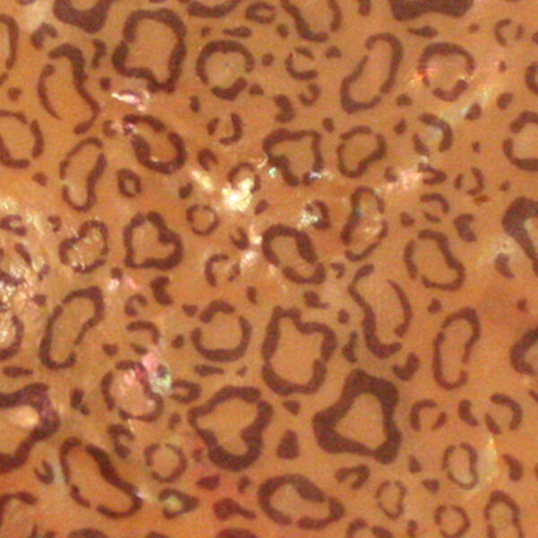 BB FLEKSIBILNA FOLIJA - SMEĐI LEOPARD (1)