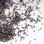 crystal-pixie-exotic-east (1)