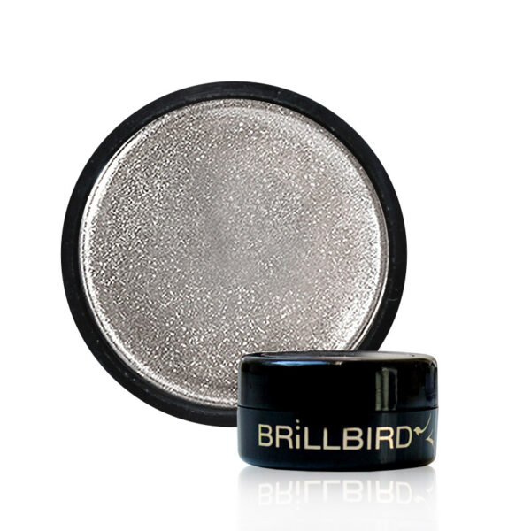 Brillbird-Chrome-Pigment-Mirror-Silver